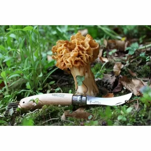 Opinel Pilzmesser N°08 8 Cm Buche 10