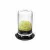 GEFU Sprossenglas Bivita 11